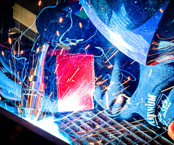 8XE-Web-Picture-4 (1)